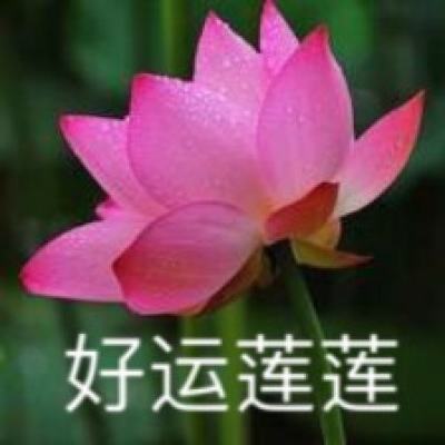 《玫瑰的故事》编剧李潇：刘亦菲跟黄亦玫水乳交融